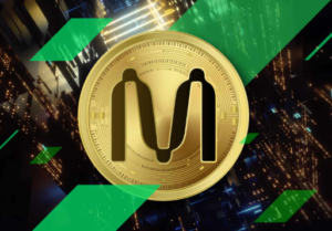 Is Mina Coin Profitable to Invest