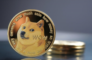 shiba inu coin